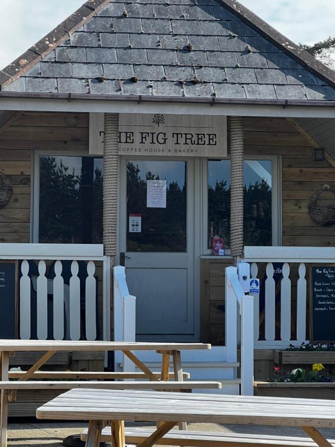 New Quay Mawgan Stays Mawgan Porth מראה חיצוני תמונה